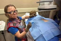 Peripheral Nerve Stimulation Trials and Implants