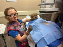Peripheral Nerve Stimulation Trials and Implants